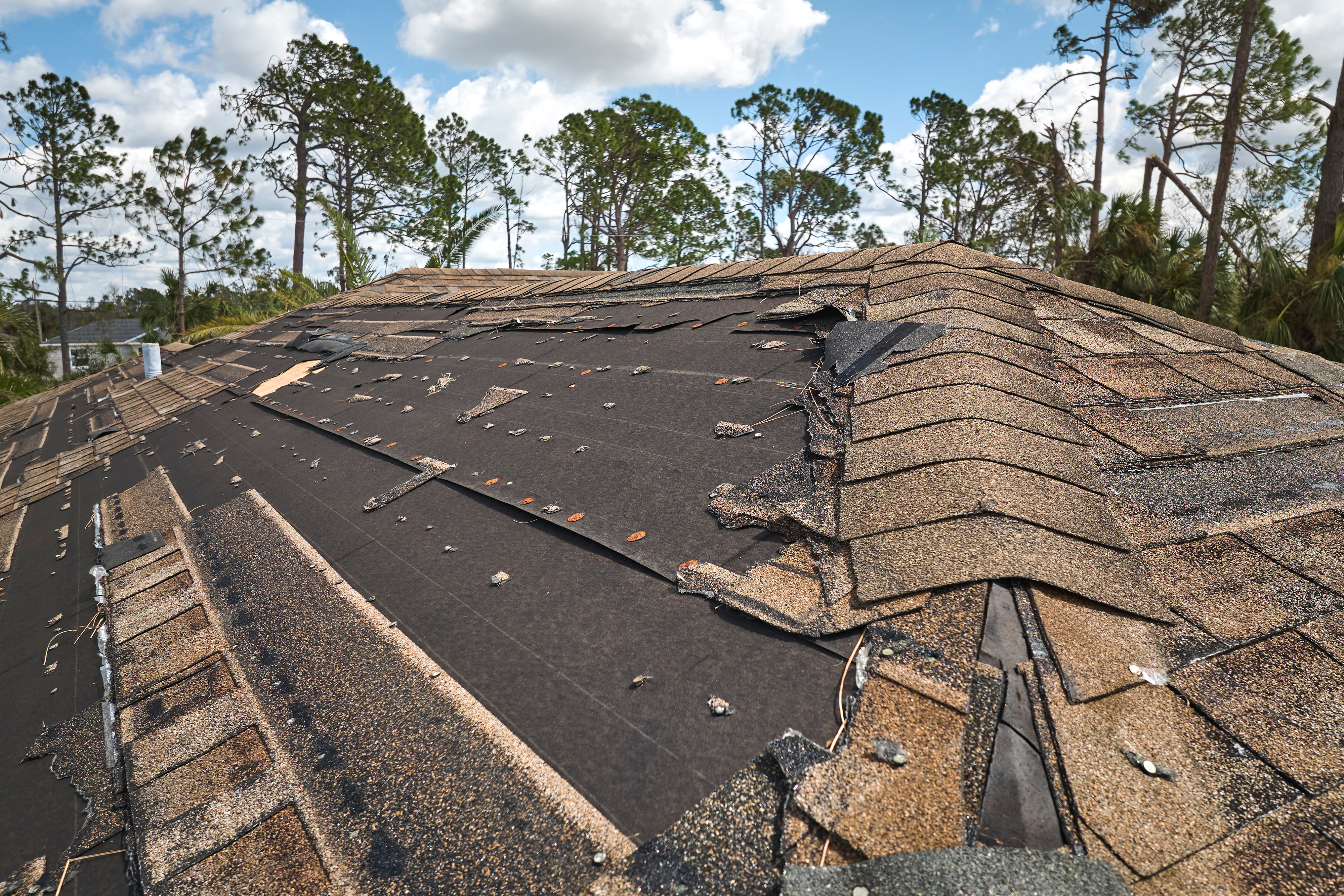 wind damage